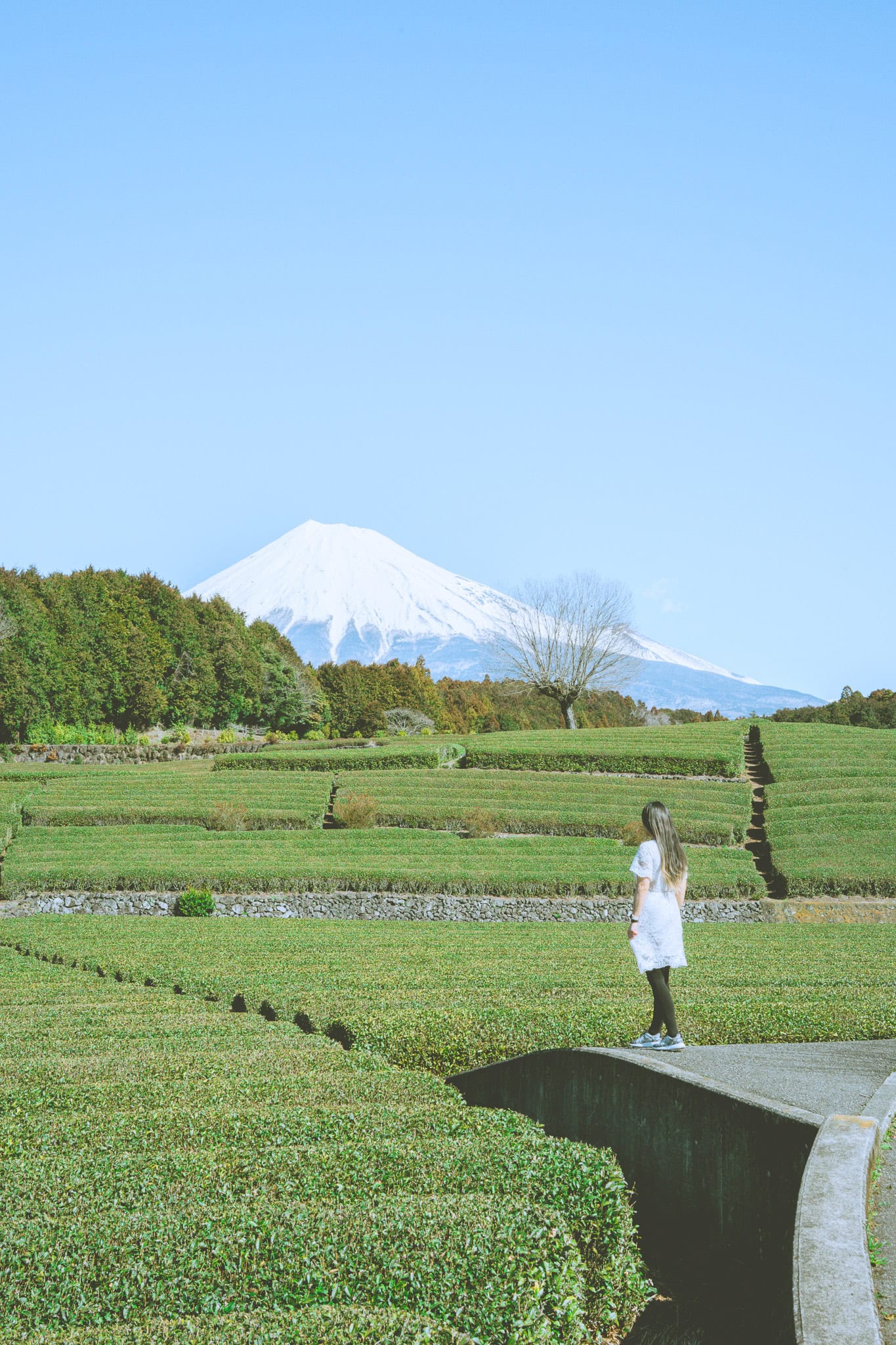Mt. Fuji view from Obuchi Sasaba. Credit: Dana Yao.