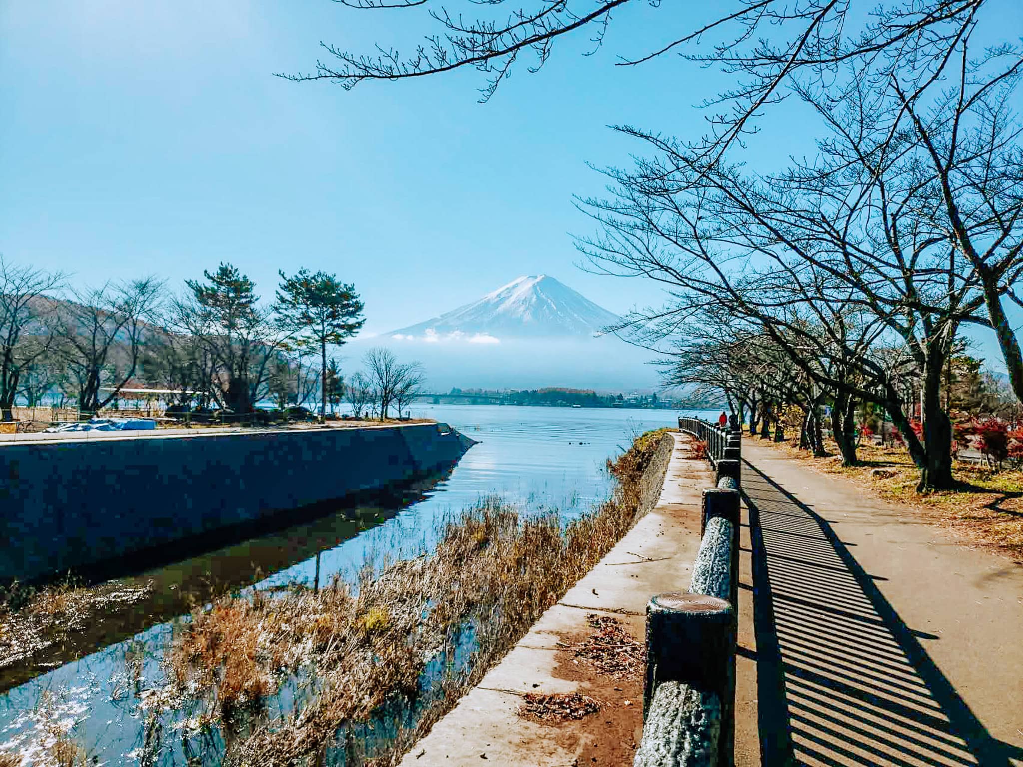 Clear view of Mt. Fuji from Kawaguchiko town on a day trip.