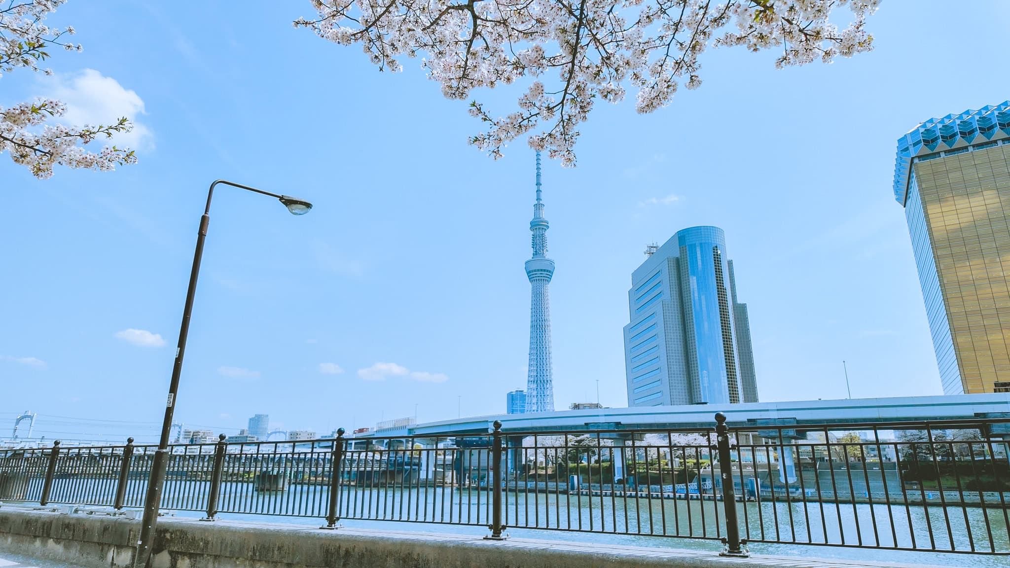 Spring view of Tokyo Skytree.
