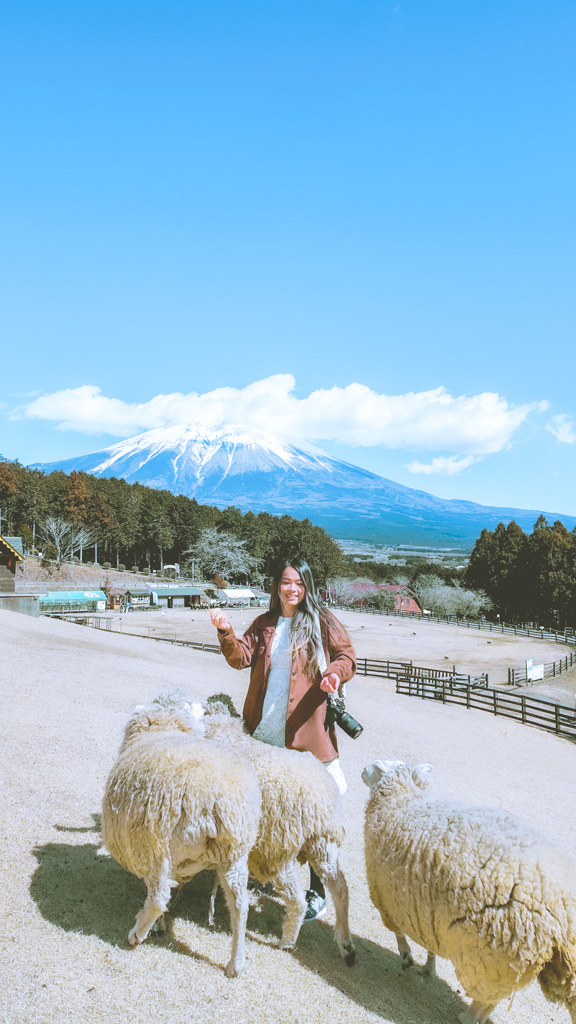Travel to Japan, Things to do in Mt. Fuji