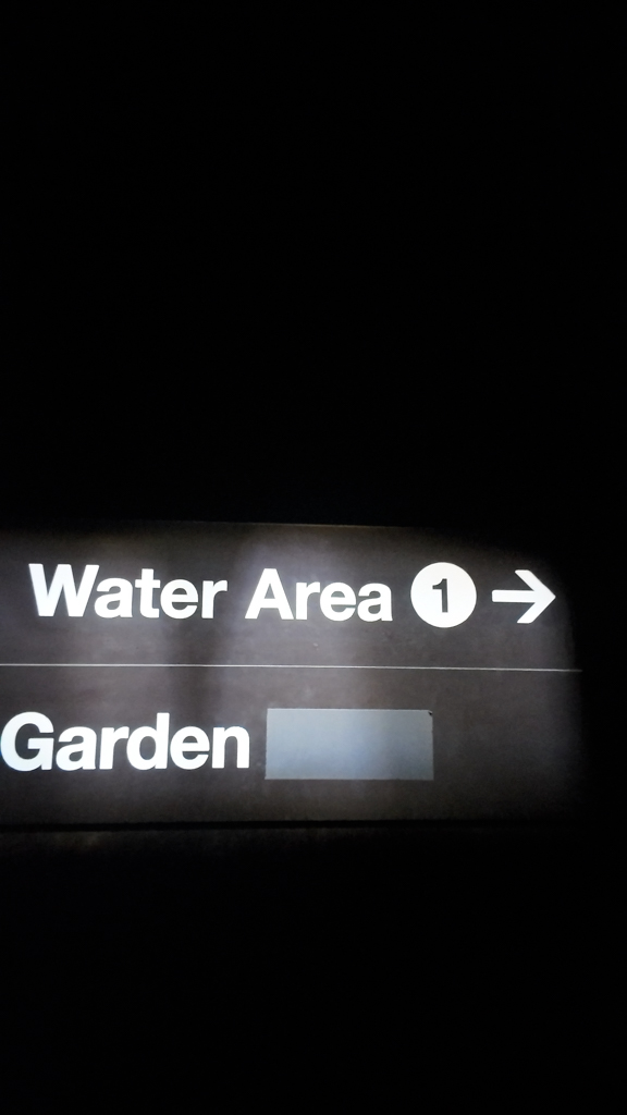 TeamLab Planets Water and Garden Areas