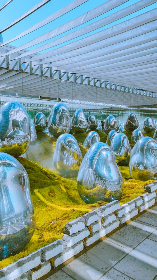 TeamLab Planets: An Immersive Wonderland or Overhyped Attraction?