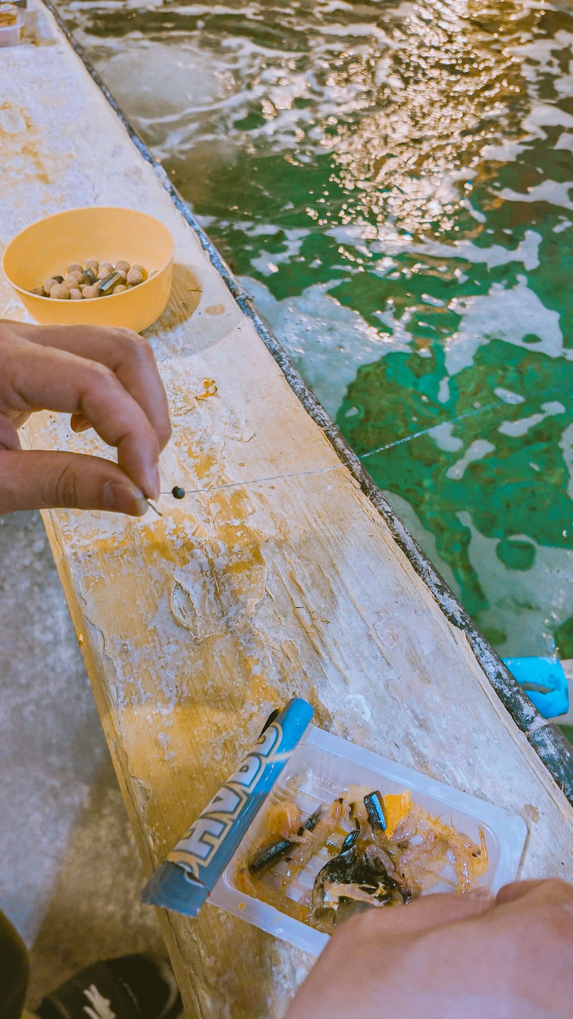 You use bait to fish your own dinner at fishing restaurant ZAUO.