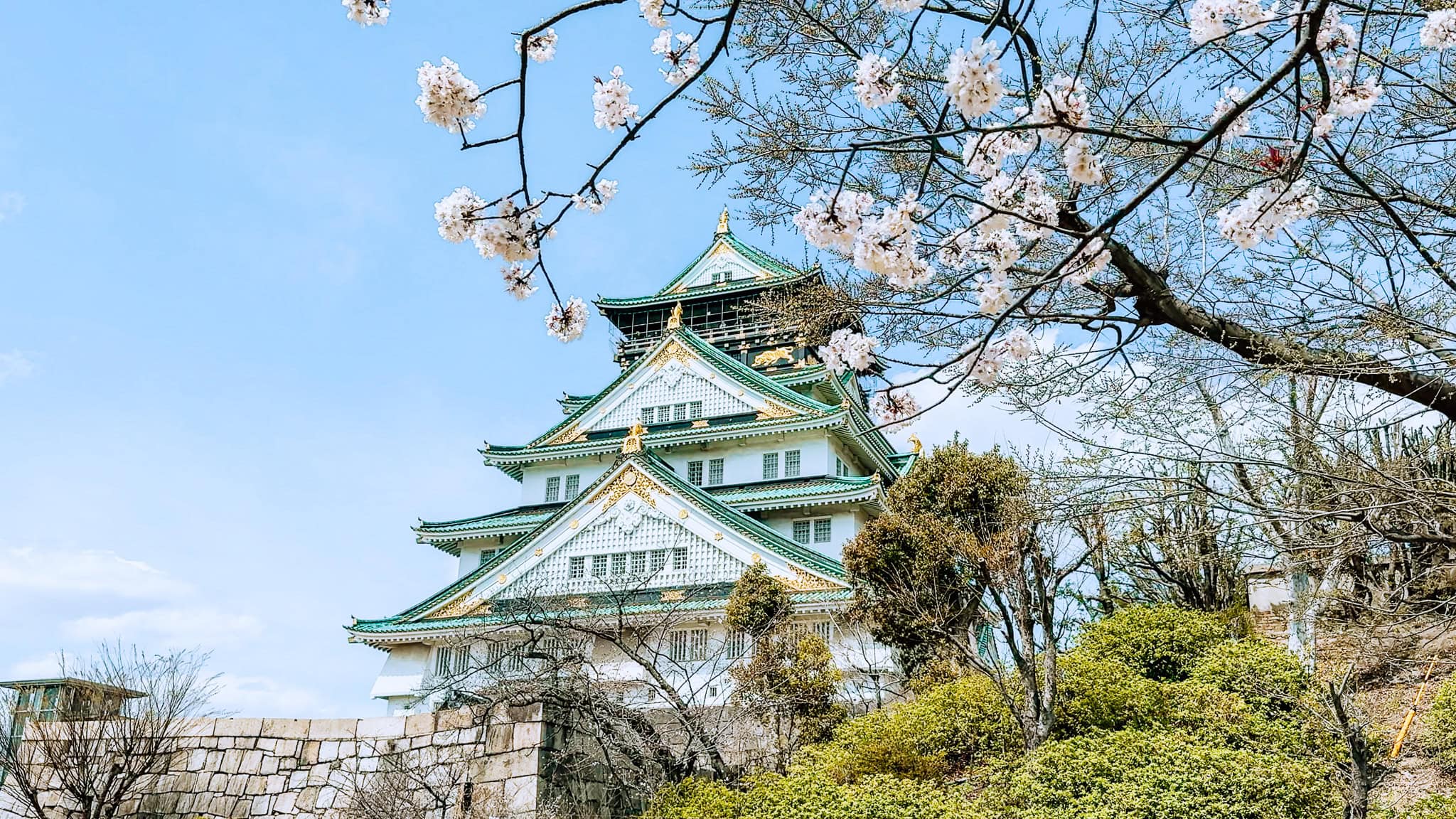 Osaka Castle in the spring framed by cherry blossom.