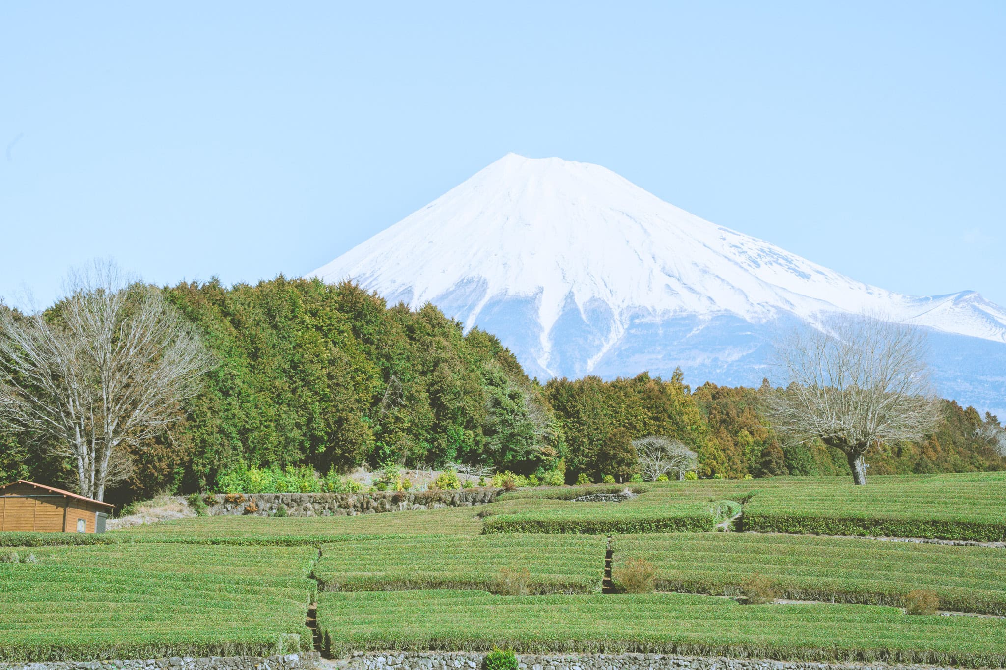 Clear Mt. Fuji view from Obuchi Sasaba. 