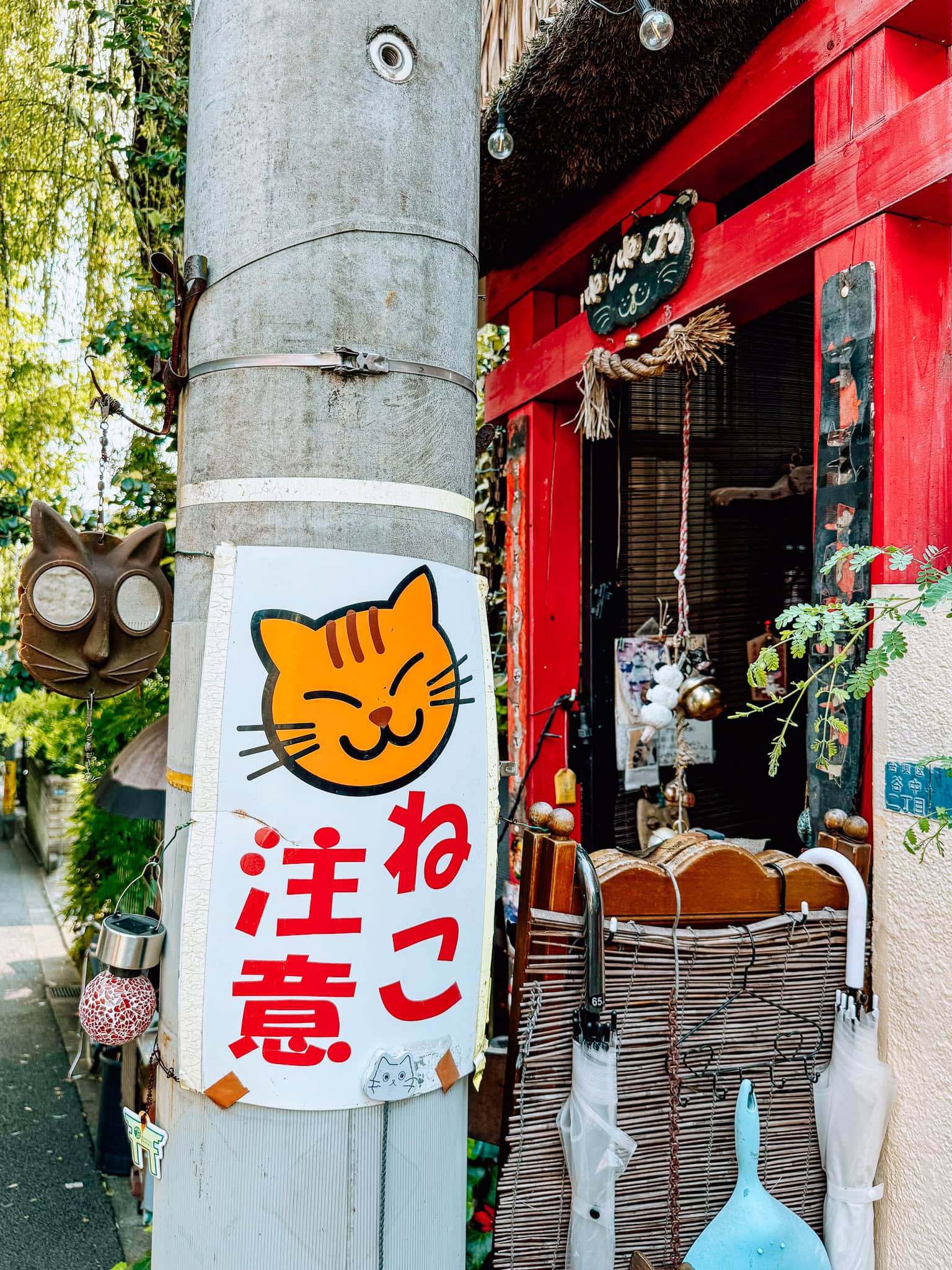 Cat Town: Yanaka Ginza in Tokyo.