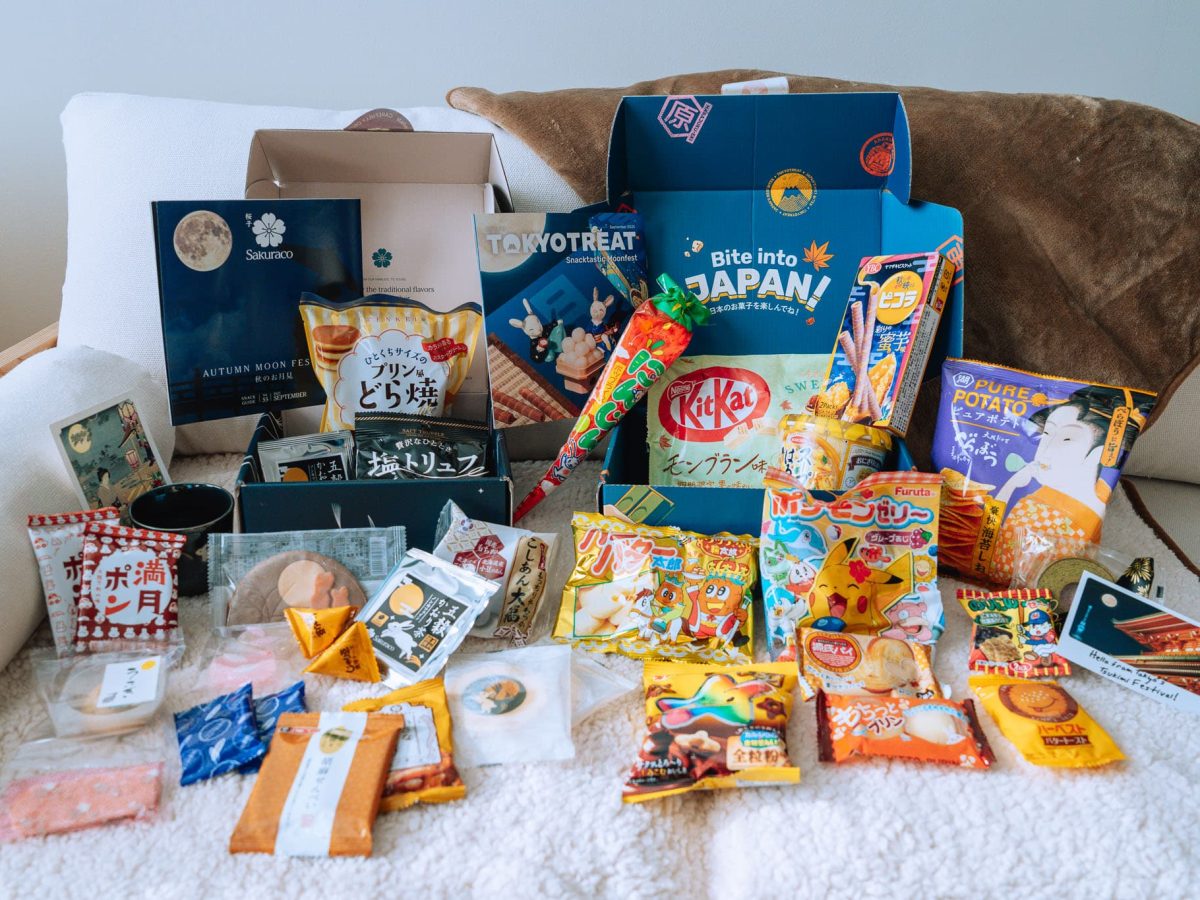 Sakuraco-vs.-TokyoTreat-08-