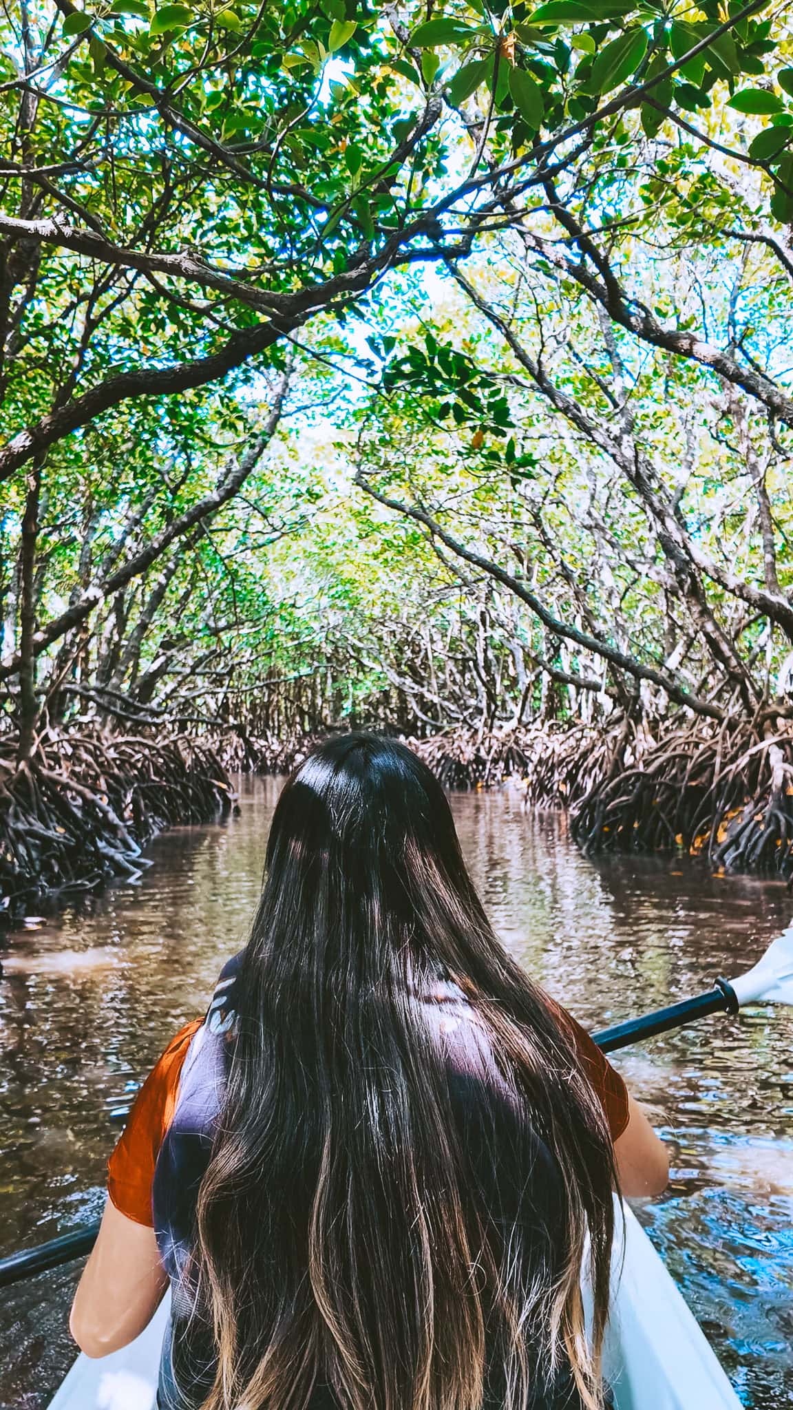 Ishigaki Mangrove Kayak Exploration Tour