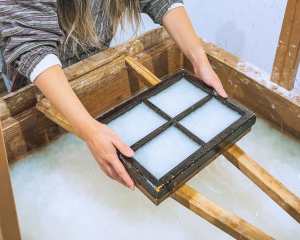Washi Paper Making Experience in Tokyo: A Hands-On Traditional Craft ...