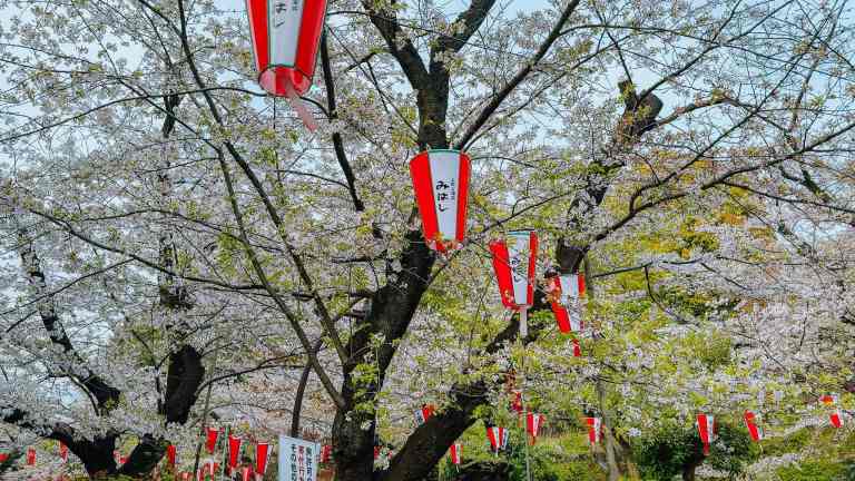 Spring in Japan Travel Guide 2026: What It’s Like + What to Do Besides ...