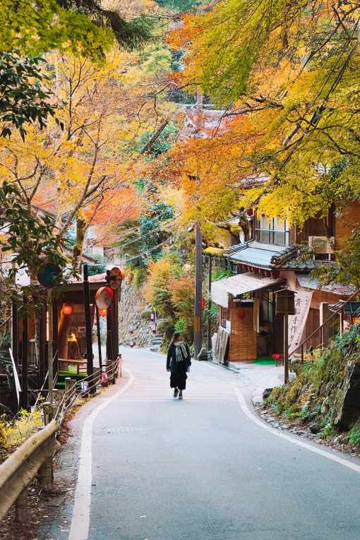 Kyoto in the fall.