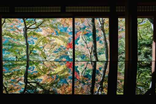 Autumn in Japan: Why Fall Is My Favorite + What to Book Early