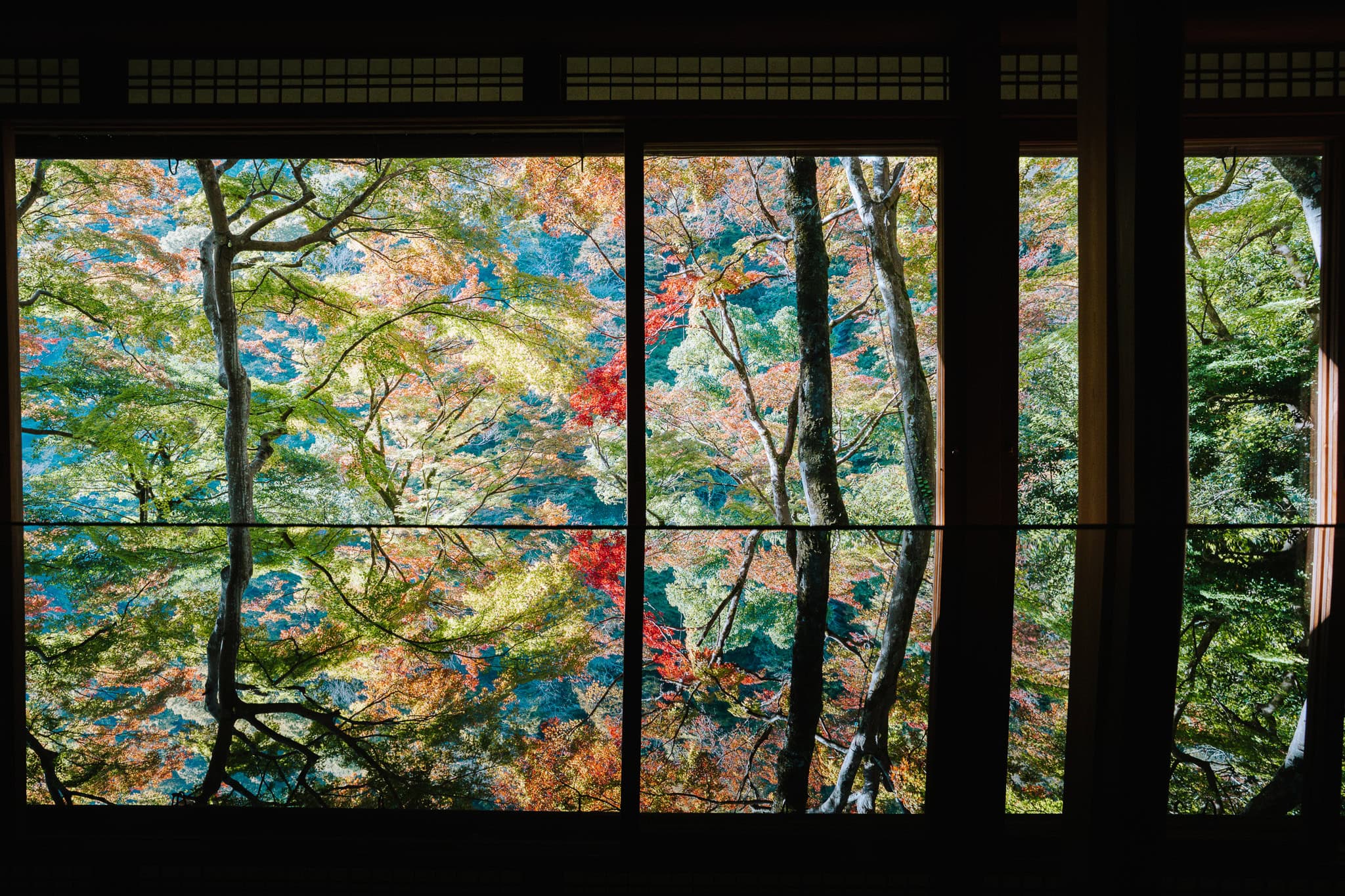 Autumn in Japan: Why Fall Is My Favorite + What to Book Early