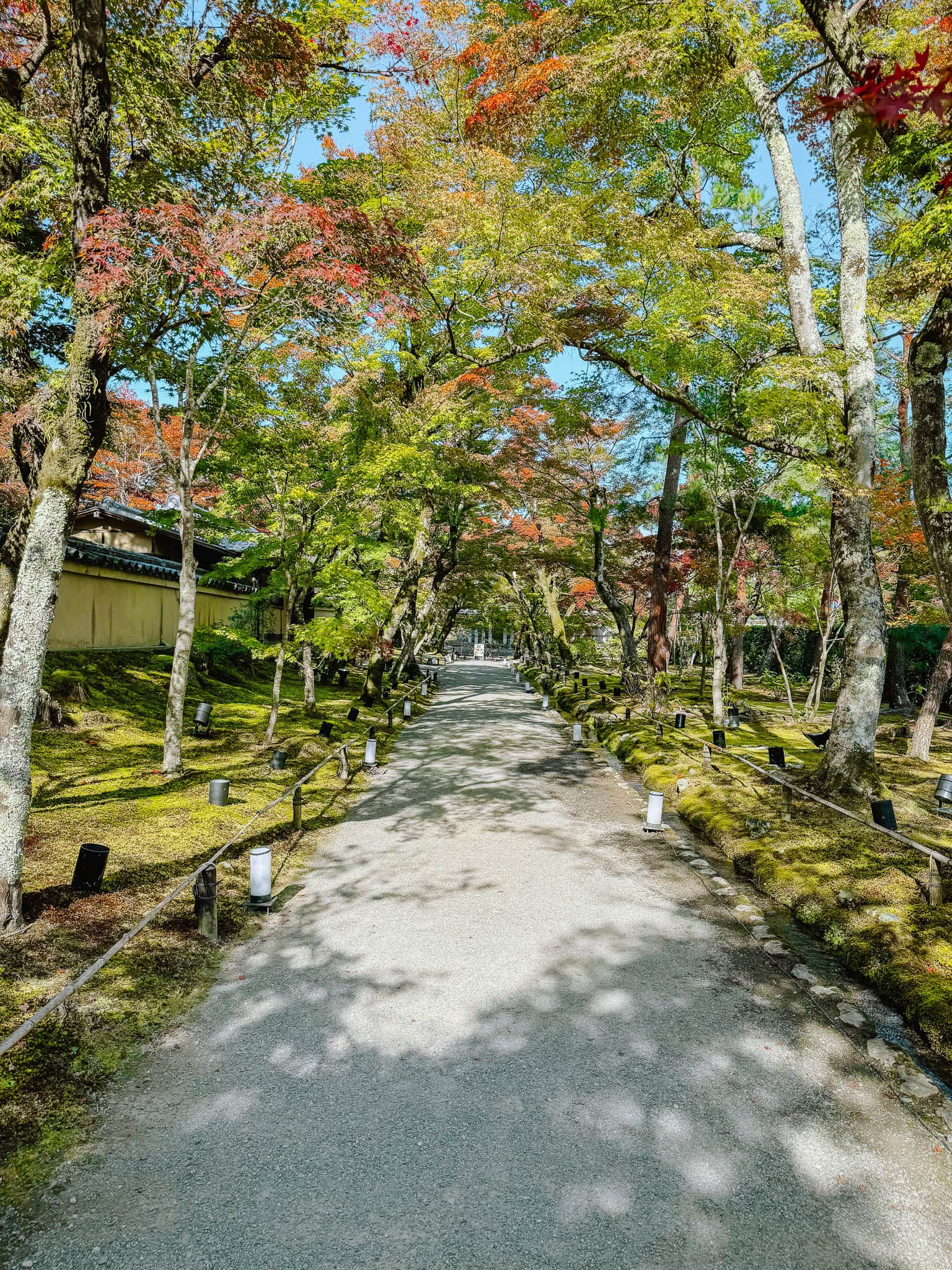 Arashiyama in the fall, Kyoto Japan.