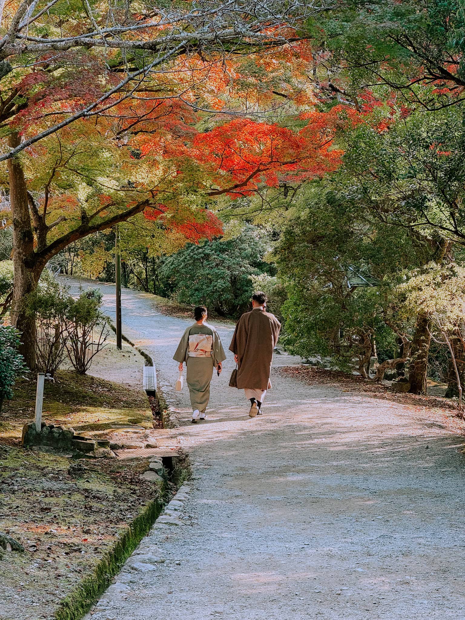 Kyoto fall foliage.