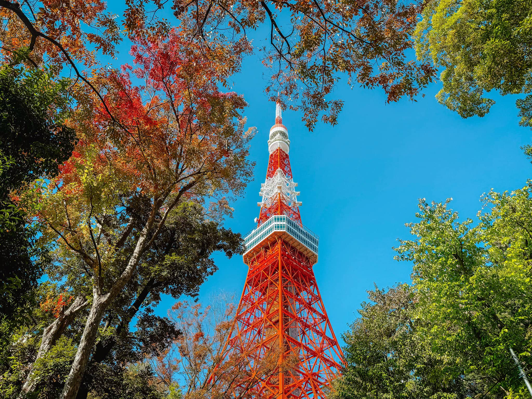 Tokyo Tower in the fall